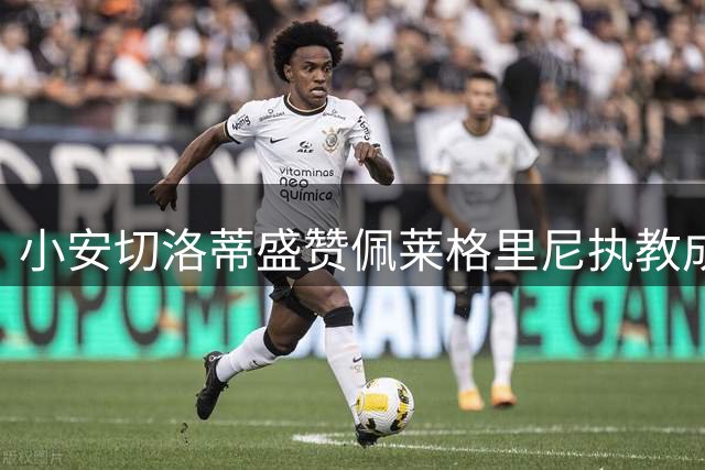 小安切洛蒂盛赞佩莱格里尼执教成就